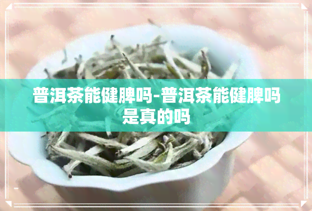 普洱茶能健脾吗-普洱茶能健脾吗是真的吗