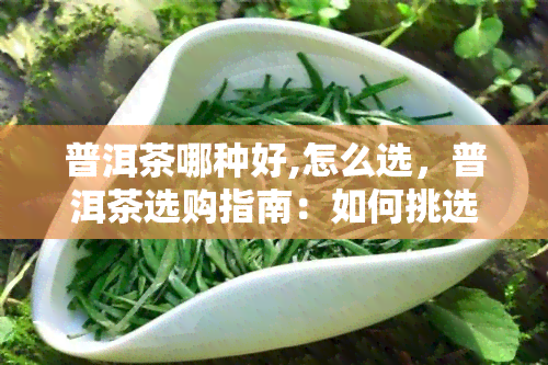 普洱茶哪种好,怎么选，普洱茶选购指南：如何挑选优质的普洱茶？