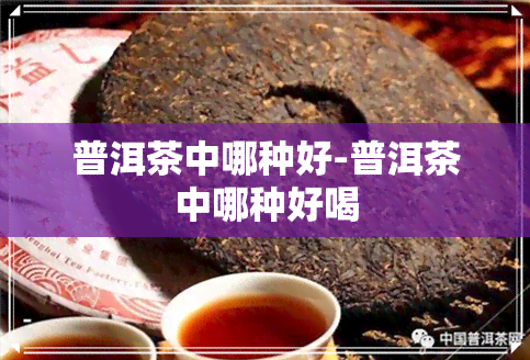 普洱茶中哪种好-普洱茶中哪种好喝