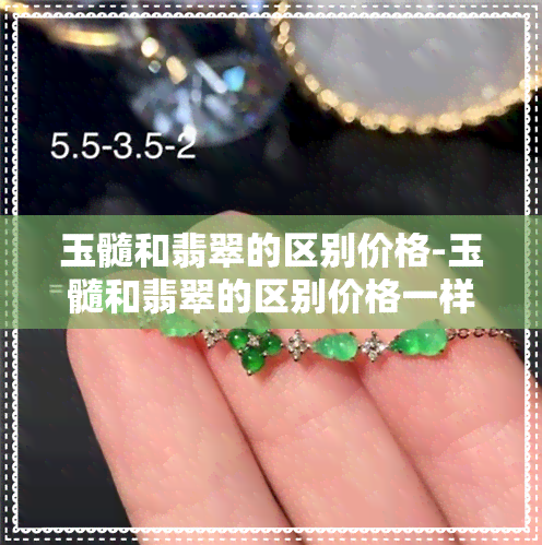 玉髓和翡翠的区别价格-玉髓和翡翠的区别价格一样吗