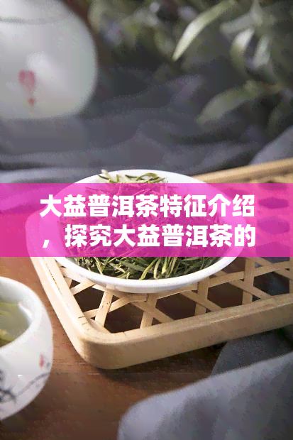 大益普洱茶特征介绍，探究大益普洱茶的独特特征与魅力