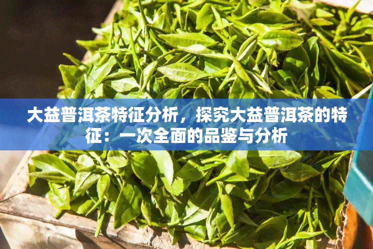 大益普洱茶特征分析，探究大益普洱茶的特征：一次全面的品鉴与分析