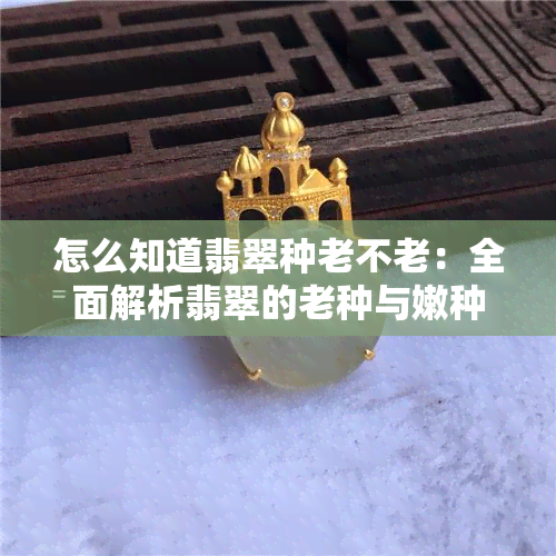 怎么知道翡翠种老不老：全面解析翡翠的老种与嫩种、新种辨别方法