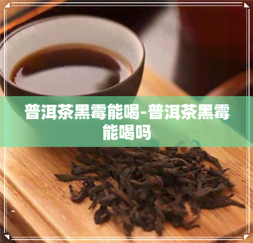 普洱茶黑霉能喝-普洱茶黑霉能喝吗