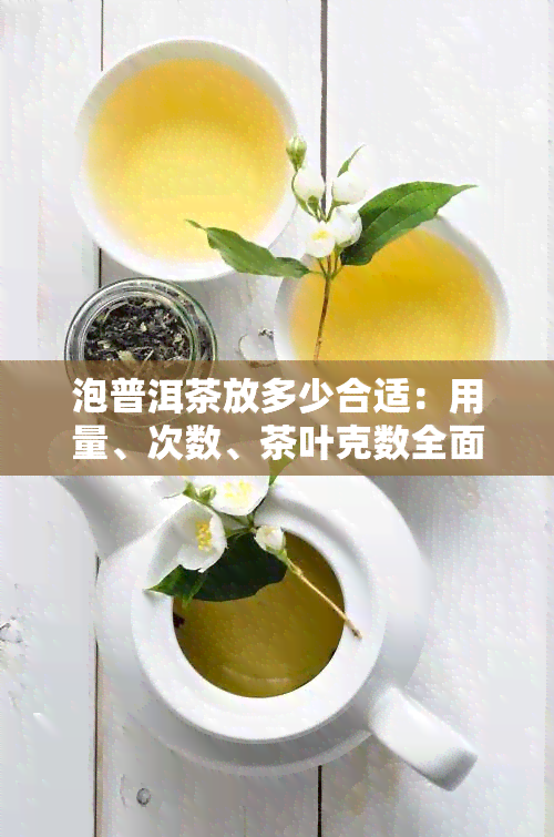 泡普洱茶放多少合适：用量、次数、茶叶克数全面解析