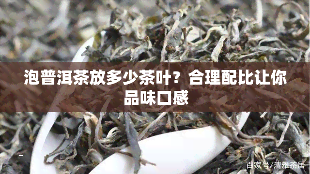 泡普洱茶放多少茶叶？合理配比让你品味口感