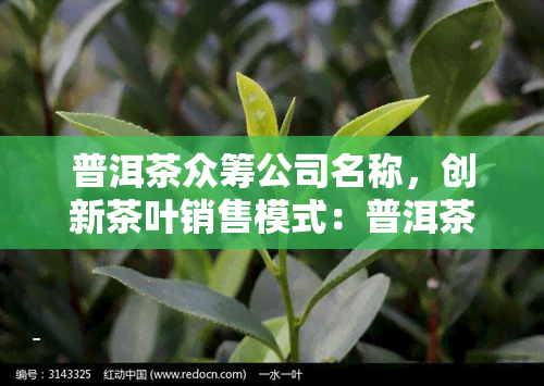 普洱茶众筹公司名称，创新茶叶销售模式：普洱茶众筹公司引领行业发展