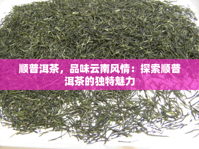 顺普洱茶，品味云南风情：探索顺普洱茶的独特魅力