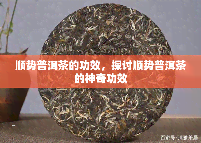 顺势普洱茶的功效，探讨顺势普洱茶的神奇功效