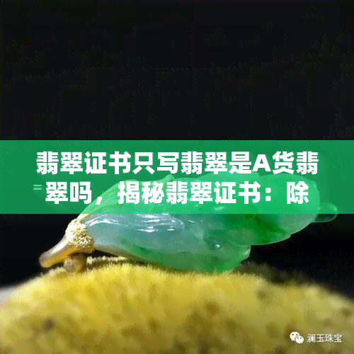 翡翠证书只写翡翠是A货翡翠吗，揭秘翡翠证书：除了“A货翡翠”，还有哪些重要信息需要注意？