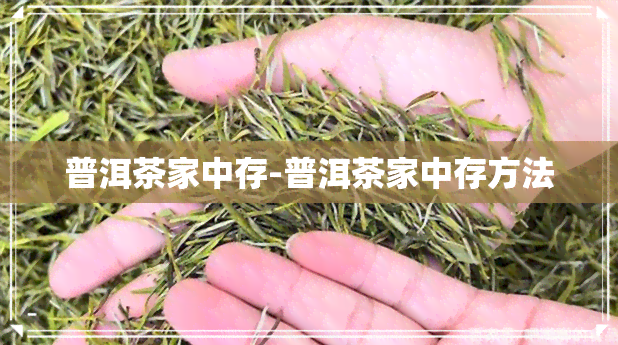 普洱茶家中存-普洱茶家中存方法