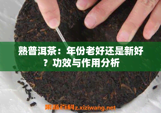 熟普洱茶：年份老好还是新好？功效与作用分析