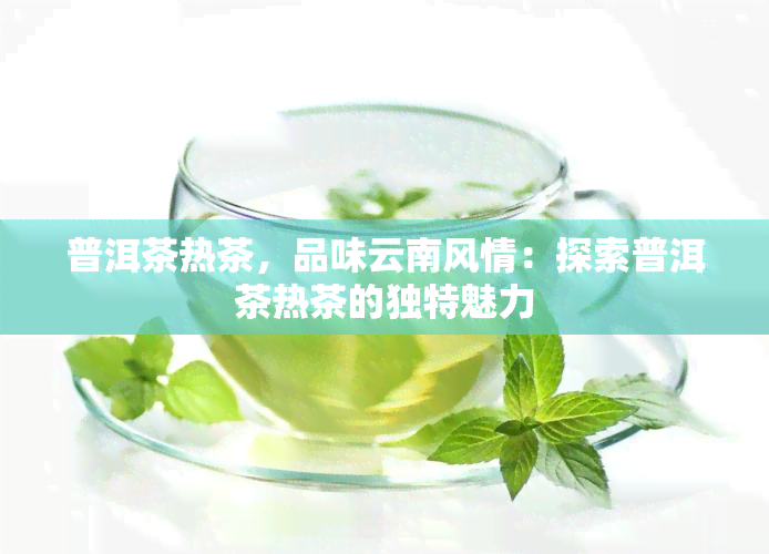 普洱茶热茶，品味云南风情：探索普洱茶热茶的独特魅力