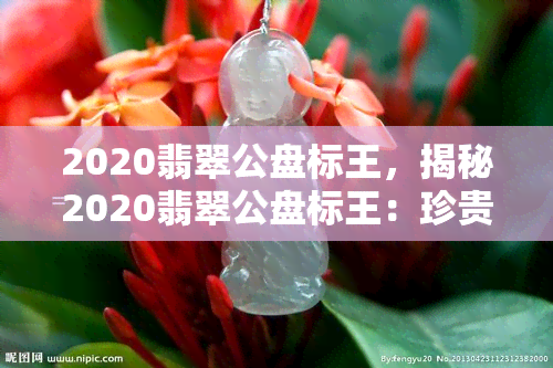 2020翡翠公盘标王，揭秘2020翡翠公盘标王：珍贵无比的稀世珍品