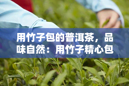 用竹子包的普洱茶，品味自然：用竹子精心包装的普洱茶