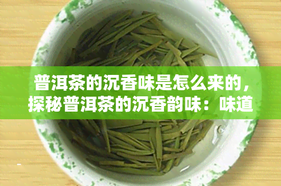 普洱茶的沉香味是怎么来的，探秘普洱茶的沉香韵味：味道由何而来？