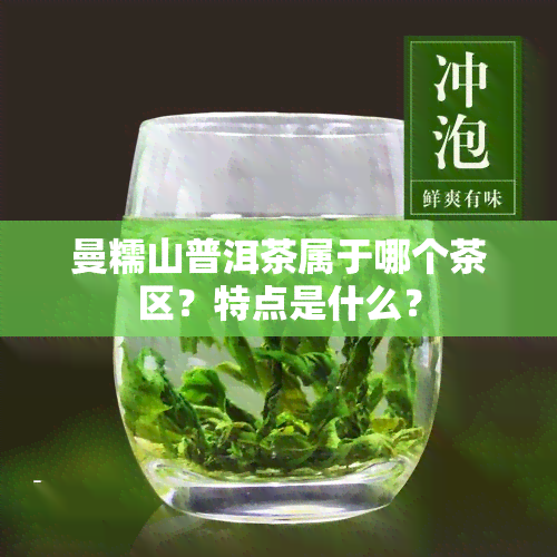 曼糯山普洱茶属于哪个茶区？特点是什么？