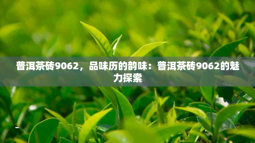 普洱茶砖9062，品味历的韵味：普洱茶砖9062的魅力探索