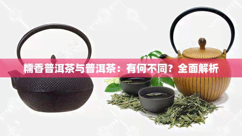 糯香普洱茶与普洱茶：有何不同？全面解析