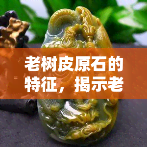 老树皮原石的特征，揭示老树皮原石的独特特征：一种珍贵而稀有的矿石