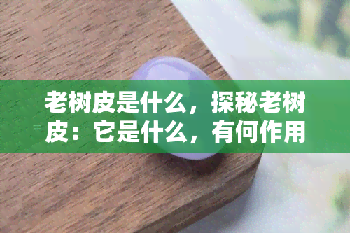 老树皮是什么，探秘老树皮：它是什么，有何作用？