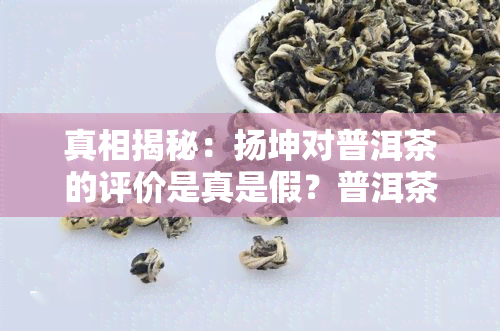 真相揭秘：扬坤对普洱茶的评价是真是假？普洱茶始末及道歉情况全解析