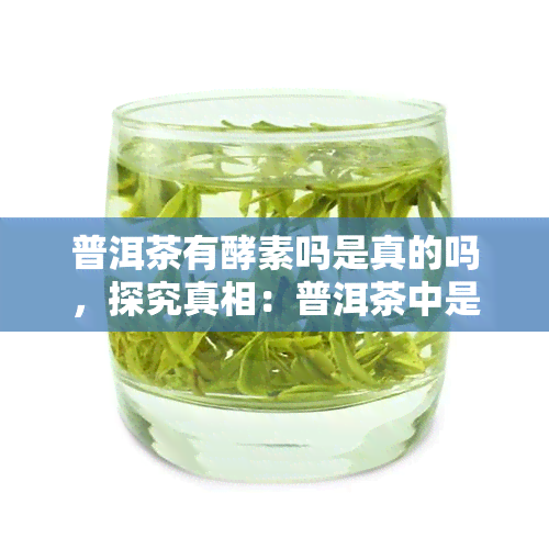 普洱茶有酵素吗是真的吗，探究真相：普洱茶中是否含有酵素？