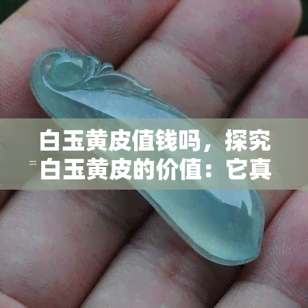 白玉黄皮值钱吗，探究白玉黄皮的价值：它真的值钱吗？