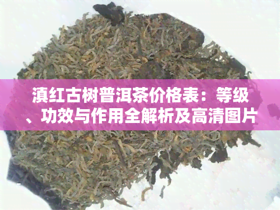 滇红古树普洱茶价格表：等级、功效与作用全解析及高清图片