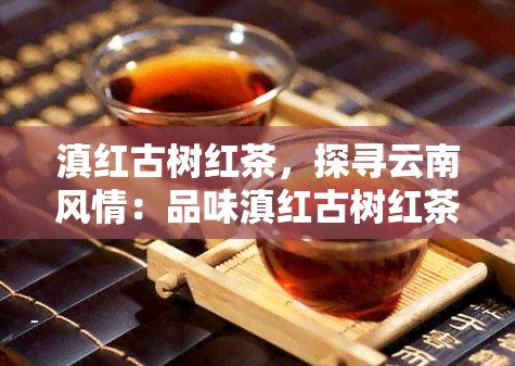 滇红古树红茶，探寻云南风情：品味滇红古树红茶的独特魅力