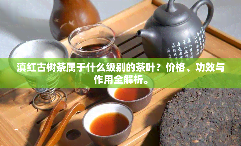 滇红古树茶属于什么级别的茶叶？价格、功效与作用全解析。