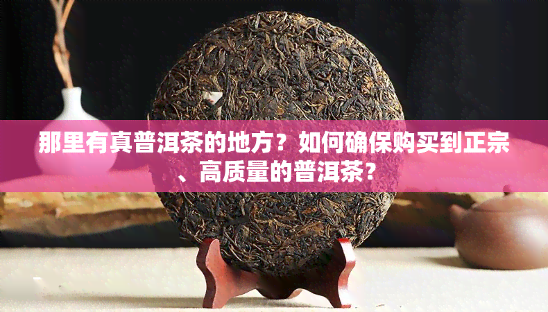 那里有真普洱茶的地方？如何确保购买到正宗、高质量的普洱茶？