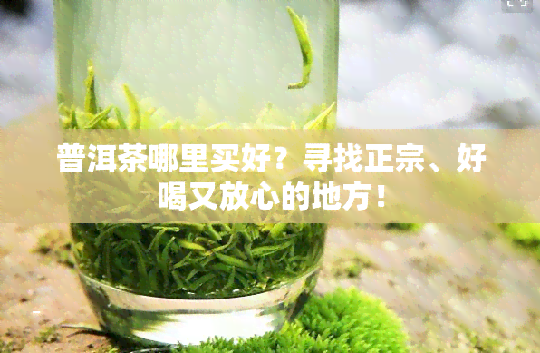 普洱茶哪里买好？寻找正宗、好喝又放心的地方！