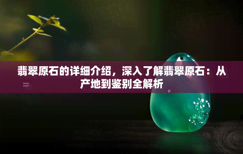 翡翠原石的详细介绍，深入了解翡翠原石：从产地到鉴别全解析