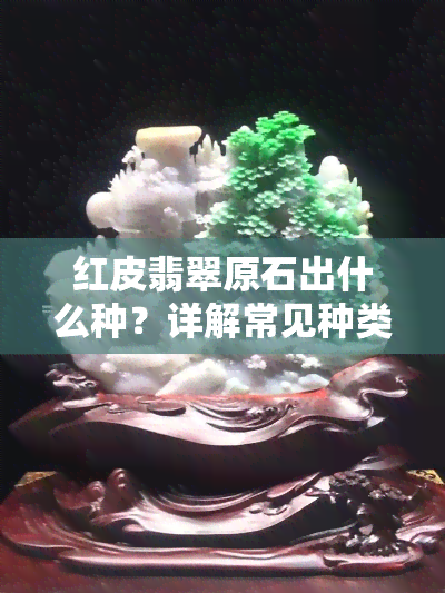 红皮翡翠原石出什么种？详解常见种类及品质优劣