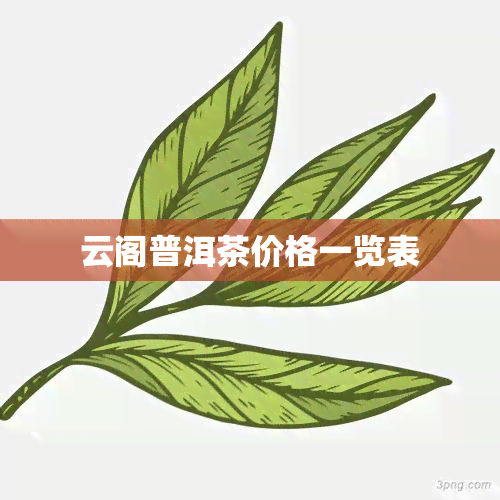 云阁普洱茶价格一览表