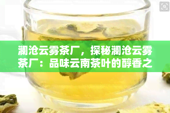 澜沧云雾茶厂，探秘澜沧云雾茶厂：品味云南茶叶的醇香之旅