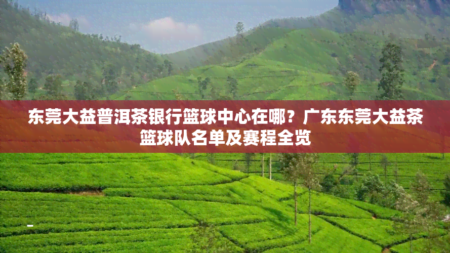 东莞大益普洱茶银行篮球中心在哪？广东东莞大益茶篮球队名单及赛程全览