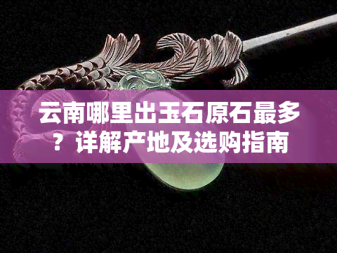 云南哪里出玉石原石最多？详解产地及选购指南