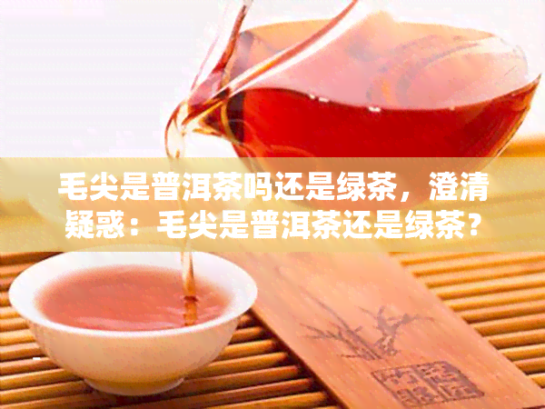 毛尖是普洱茶吗还是绿茶，澄清疑惑：毛尖是普洱茶还是绿茶？