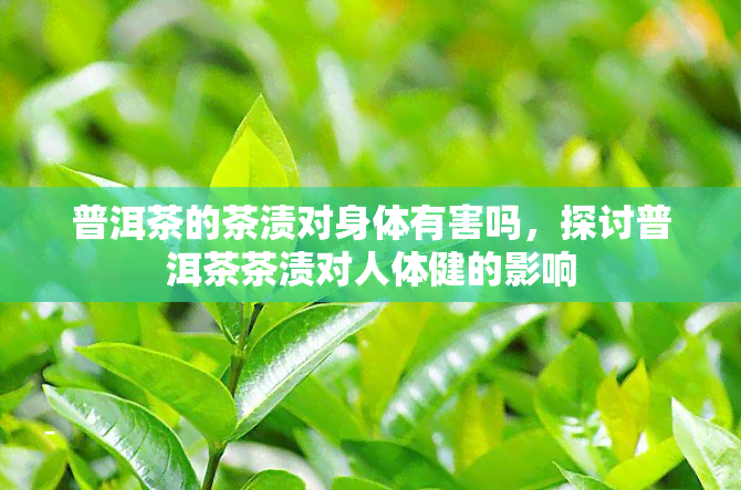 普洱茶的茶渍对身体有害吗，探讨普洱茶茶渍对人体健的影响