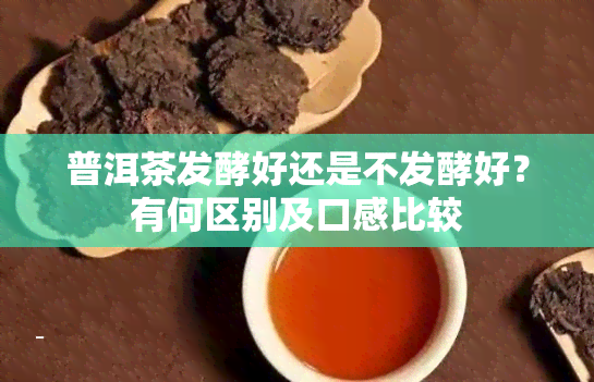 普洱茶发酵好还是不发酵好？有何区别及口感比较