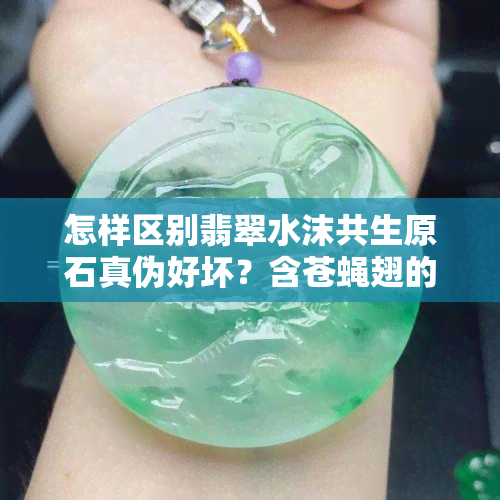 怎样区别翡翠水沫共生原石真伪好坏？含苍蝇翅的水沫是否能产出优质翡翠？