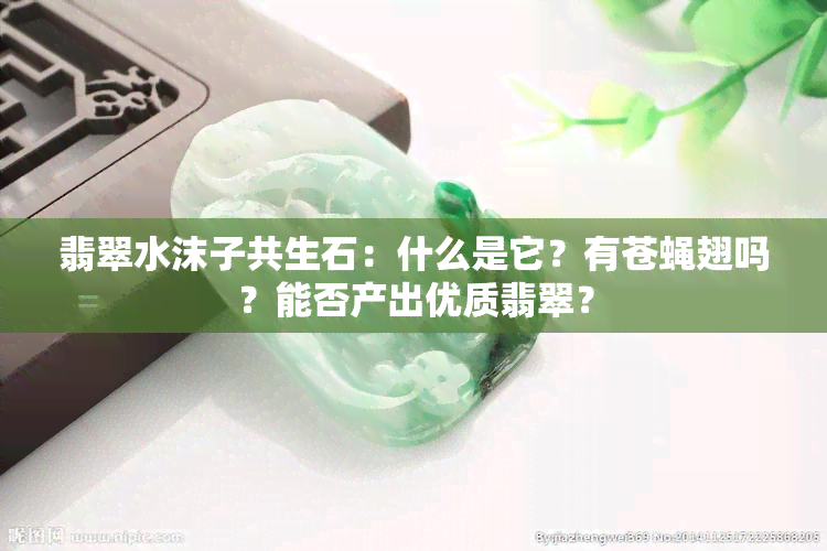 翡翠水沫子共生石：什么是它？有苍蝇翅吗？能否产出优质翡翠？