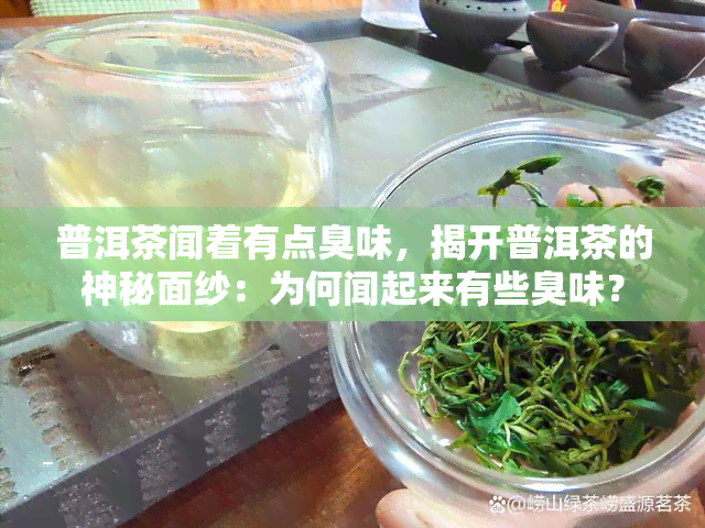 普洱茶闻着有点臭味，揭开普洱茶的神秘面纱：为何闻起来有些臭味？