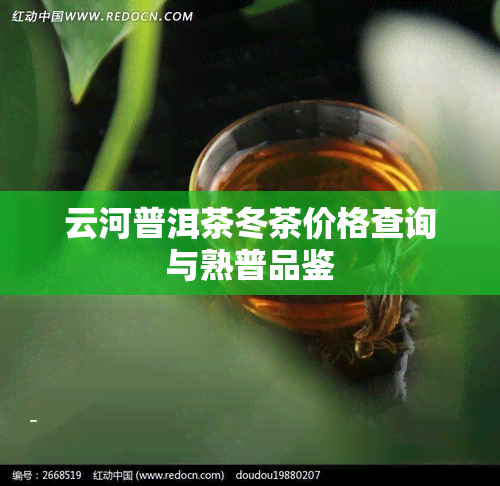 云河普洱茶冬茶价格查询与熟普品鉴