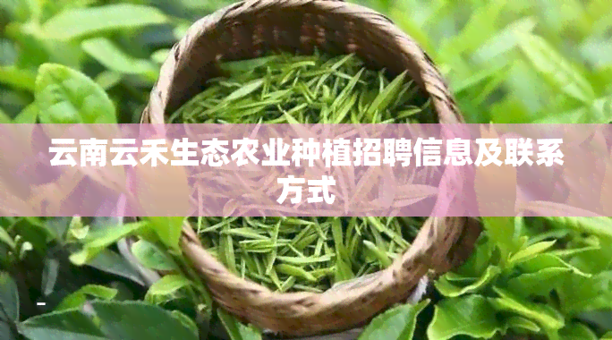 云南云禾生态农业种植招聘信息及联系方式