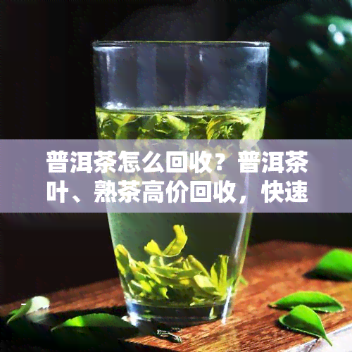 普洱茶怎么回收？普洱茶叶、熟茶高价回收，快速查询价格，欢迎回购！