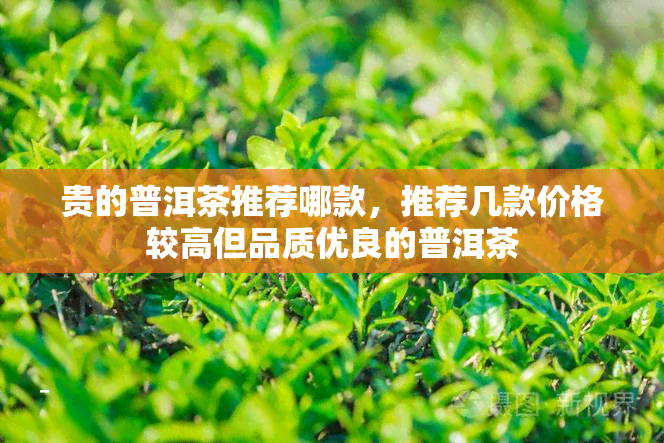 贵的普洱茶推荐哪款，推荐几款价格较高但品质优良的普洱茶