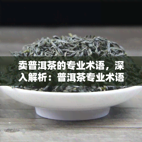 卖普洱茶的专业术语，深入解析：普洱茶专业术语及其含义